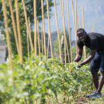 Orto Salewa, Babacar, dal Senegal (foto G.Pichler)