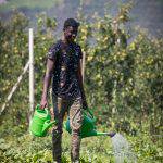 L'orto di Salewa, Giresse Congo (foto ©g.pichler)