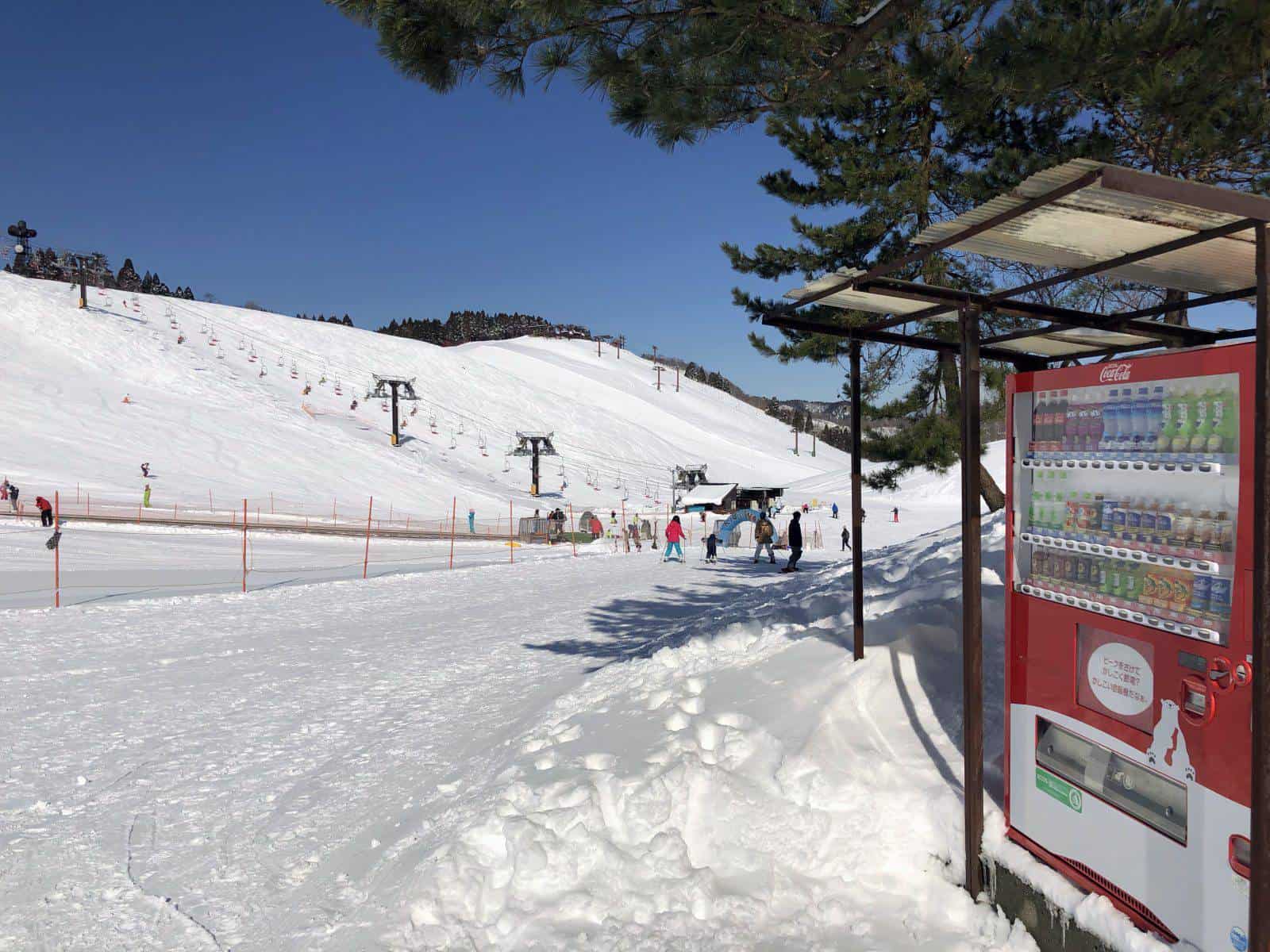 L'altopiano di Hakodateyama, 600 m. di altitudine