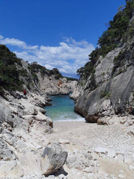Selvaggio Blu ph. Ortalli