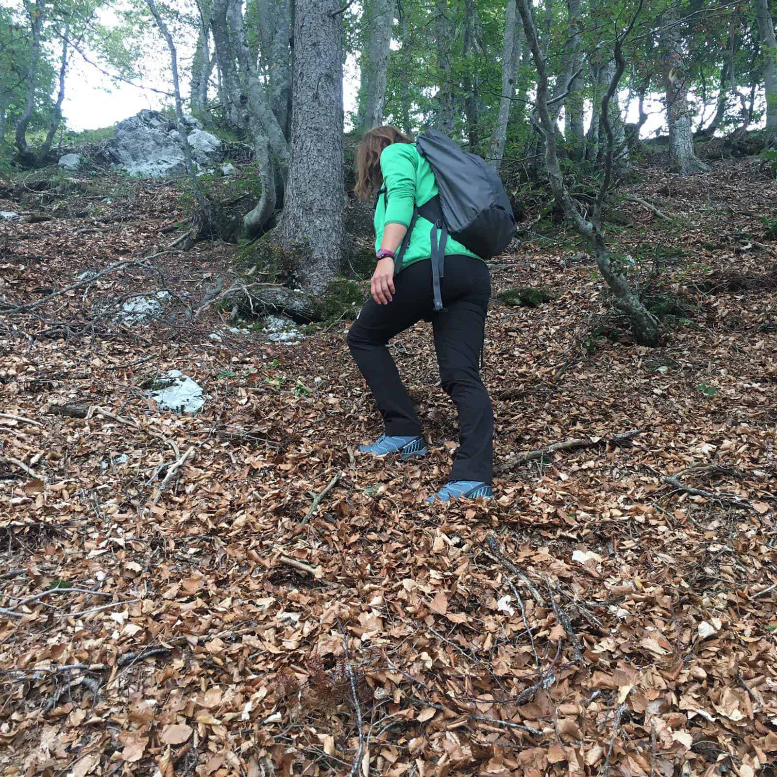 SCARPA Maverick GTX W