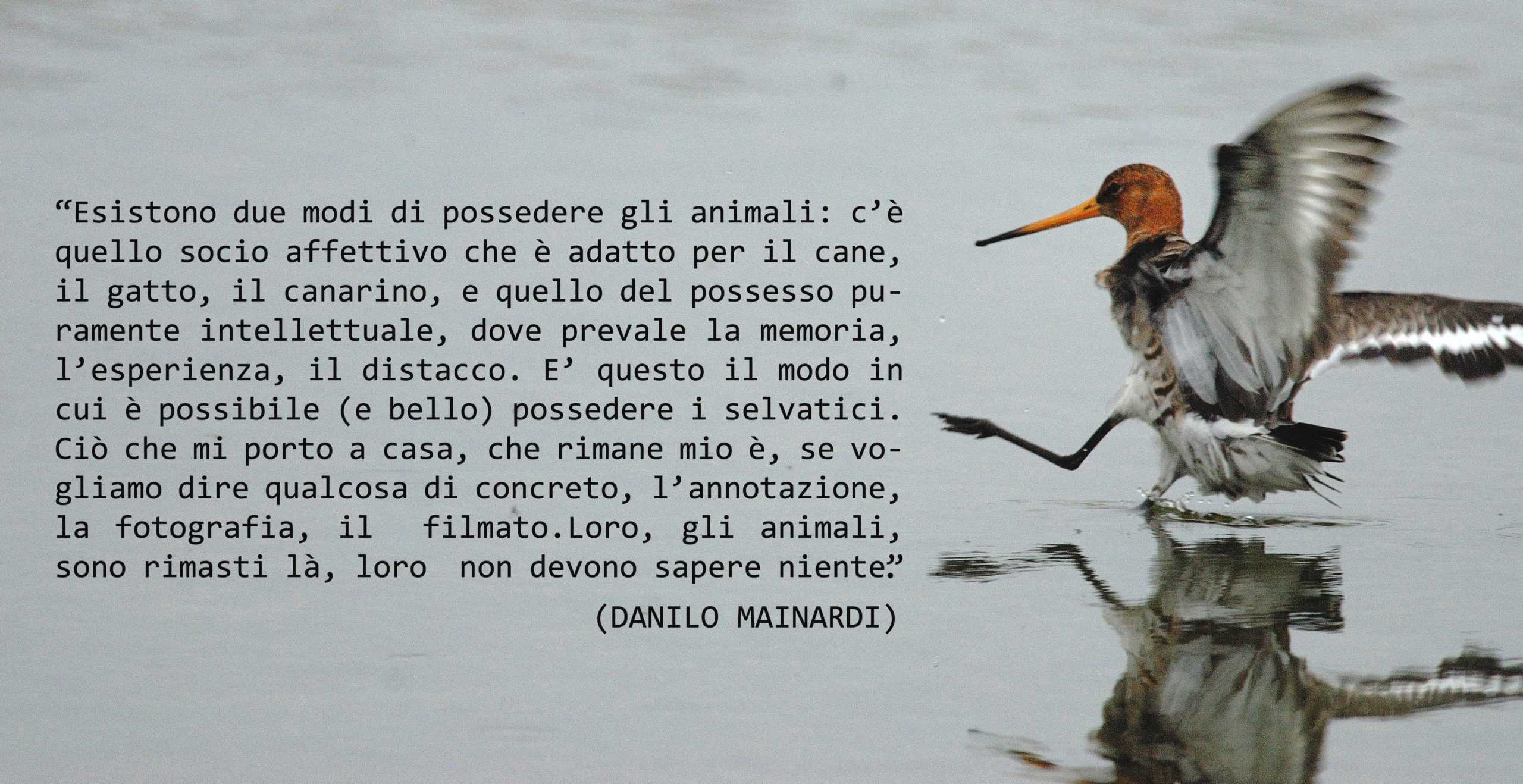 Foto di Federico Artizzu