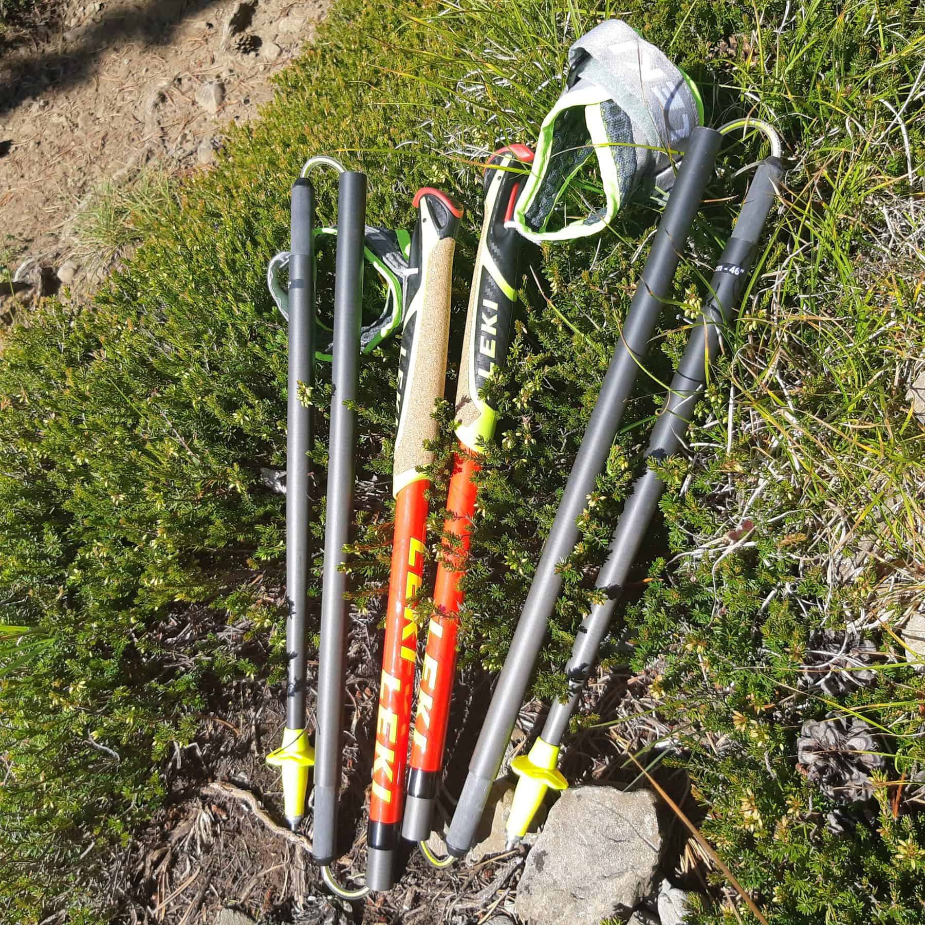 Leki Micro Trail Pro