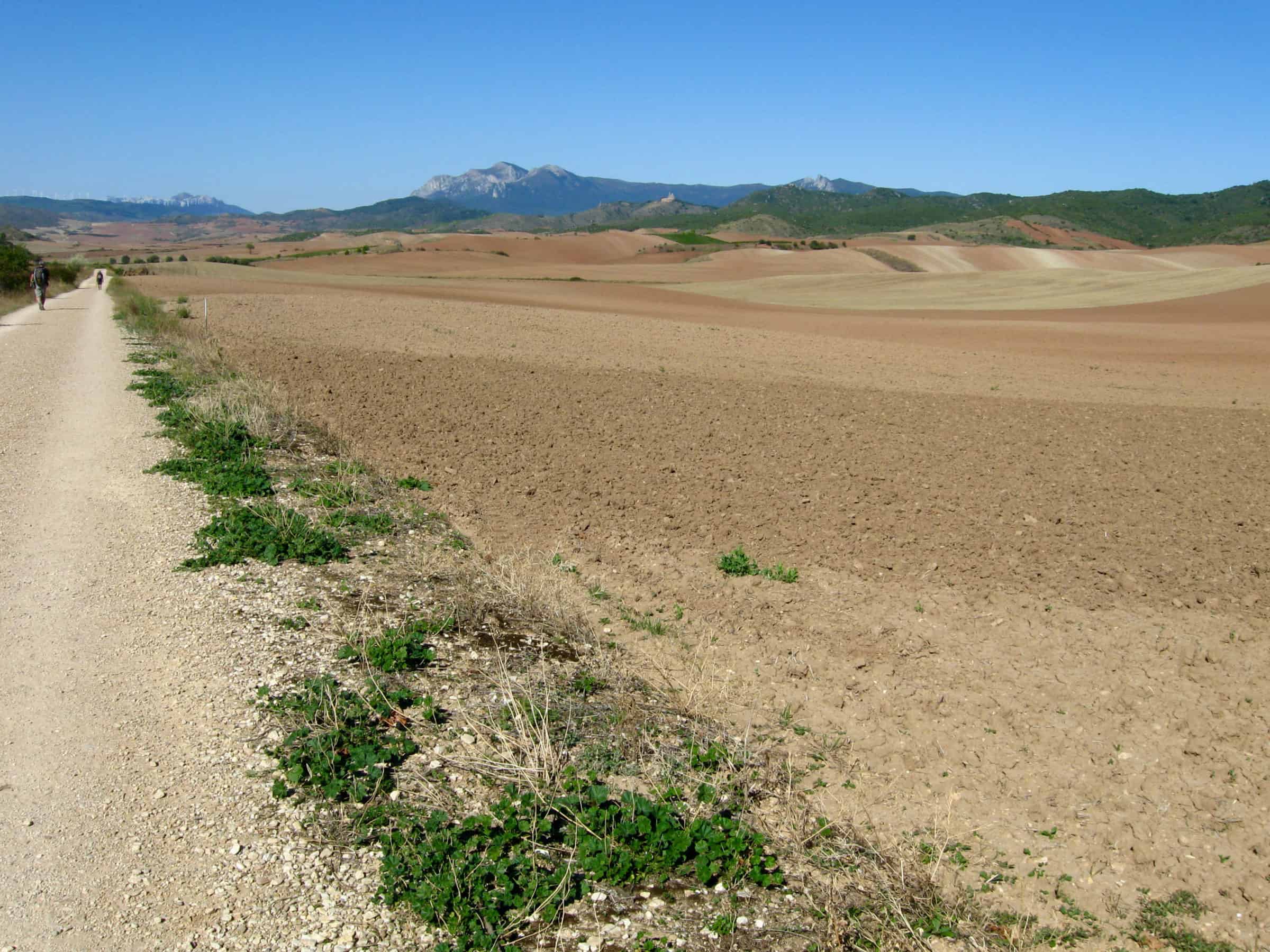 Cammino di Santiago