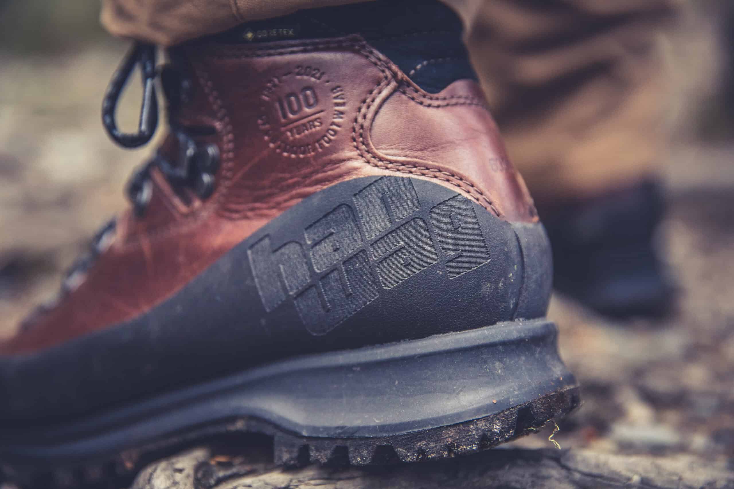 Hanwag Alaska GTX - dettaglio