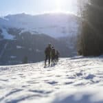 Sole e neve sui percorsi test dei Vibram Skimodays Bormio 23