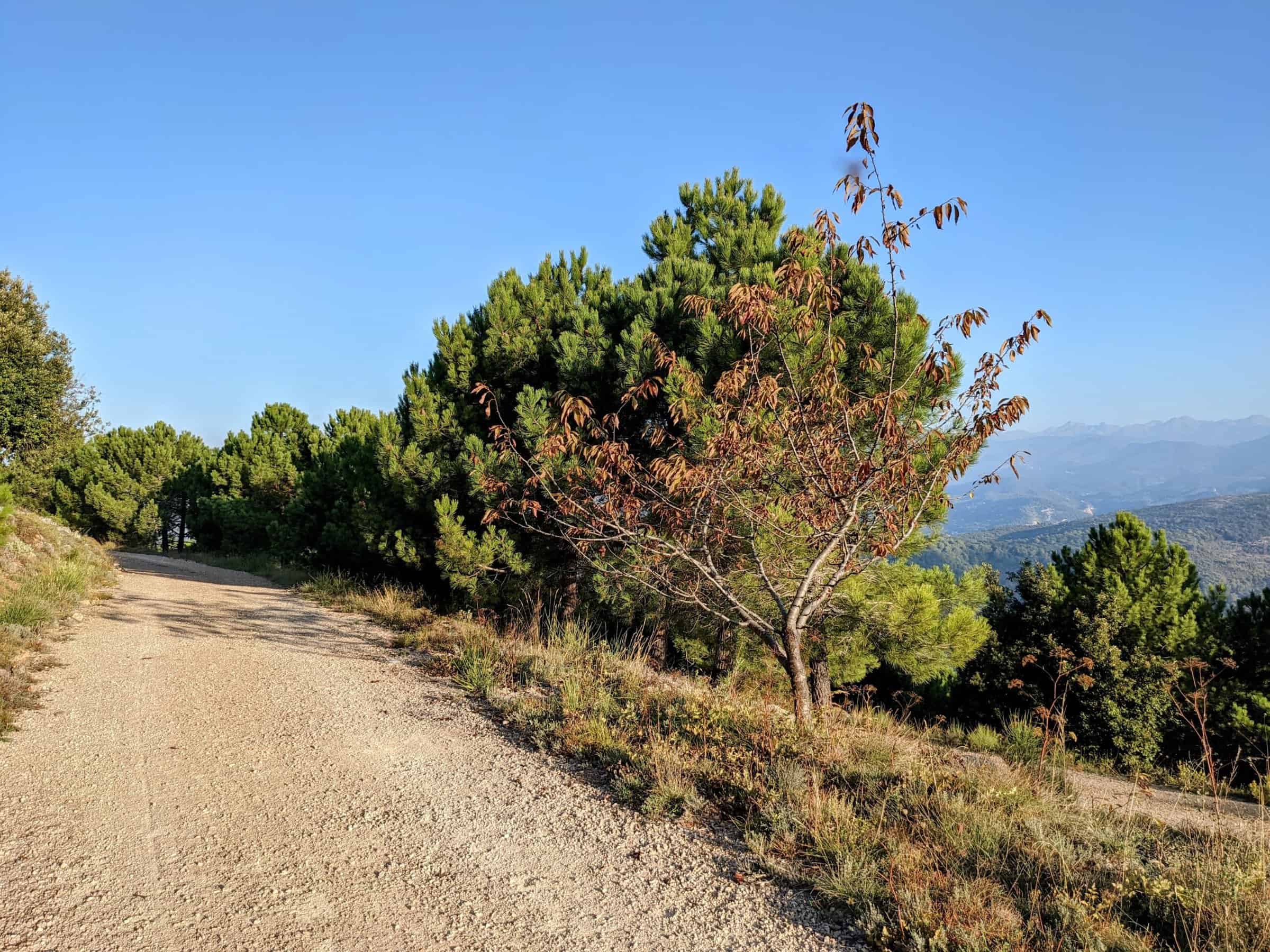 Riviera Gravel e Bike