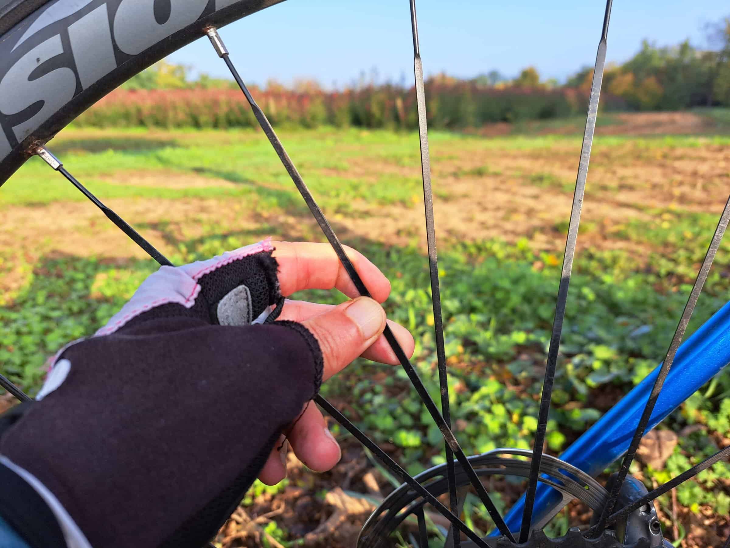 Meccanica d'emergenza Gravel Bike