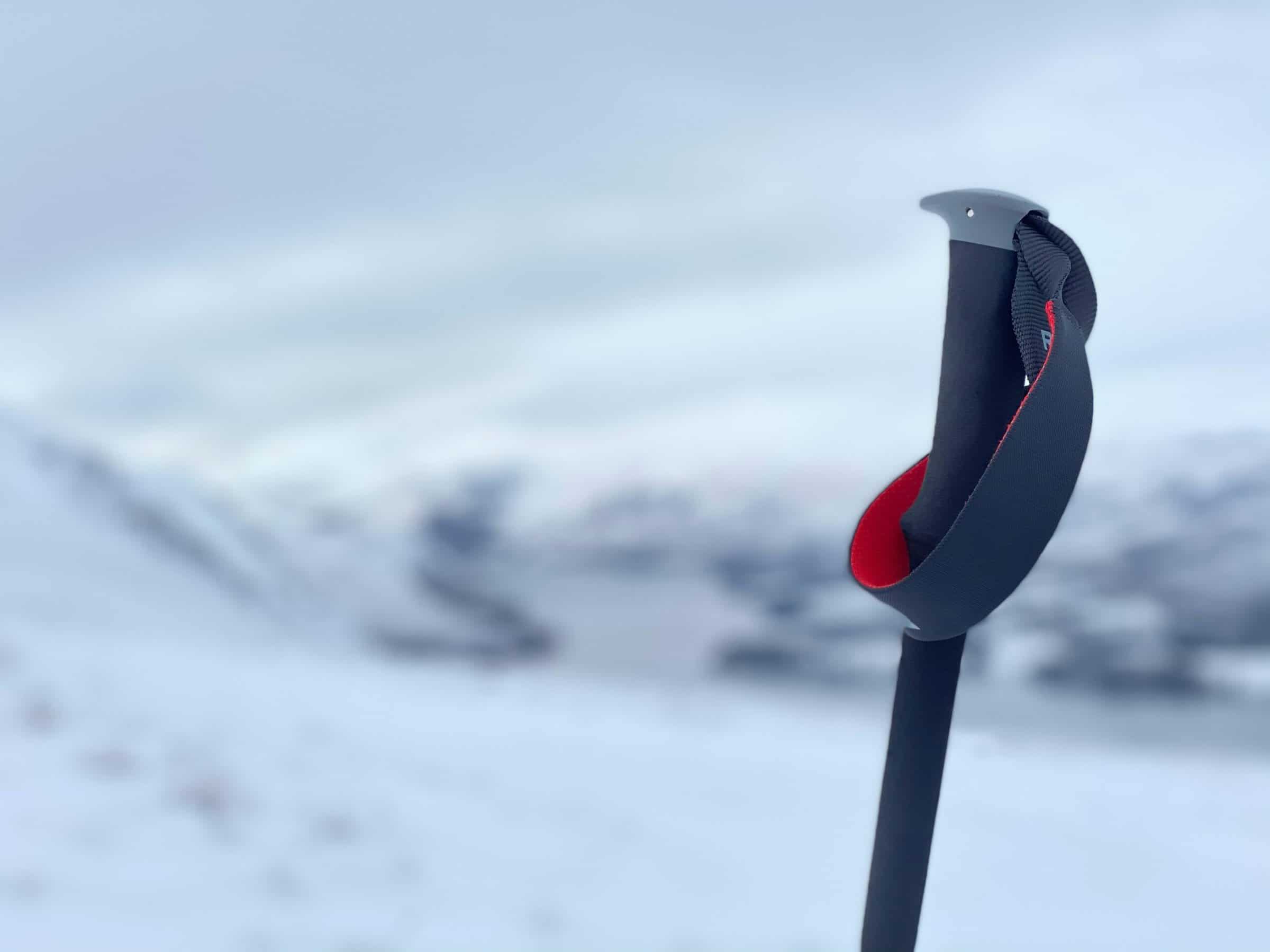Bastoncini trekking