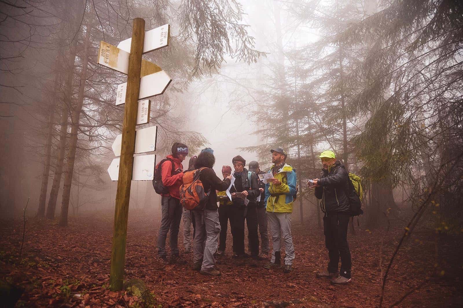 accompagnatori di media montagna