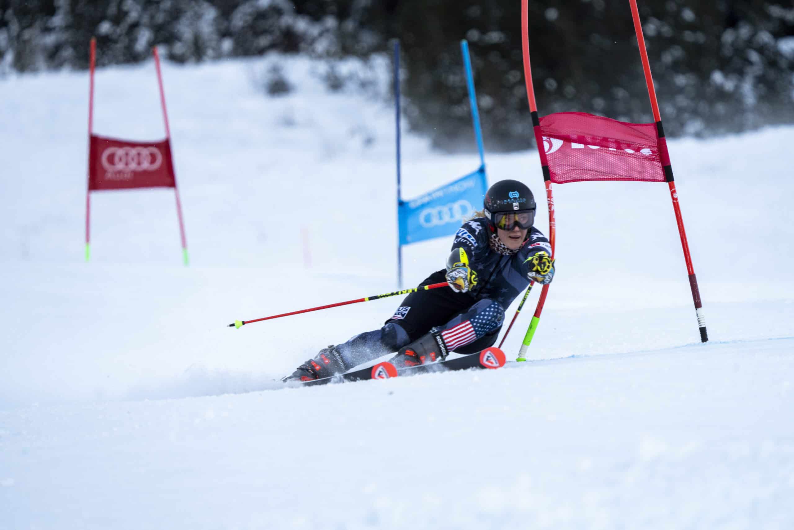 Atleta in curva slalom gigante