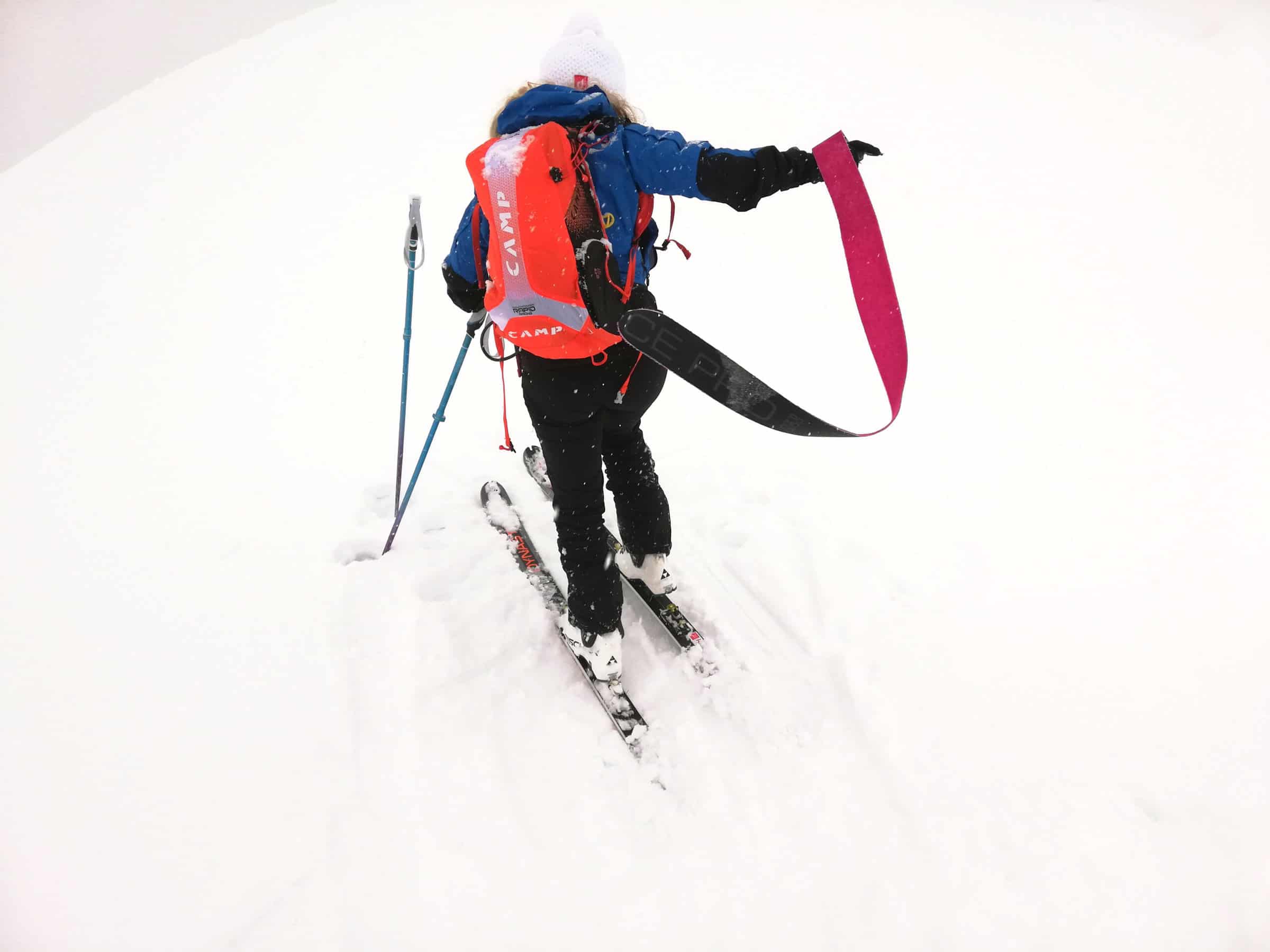 Smontaggio pelli di foca race