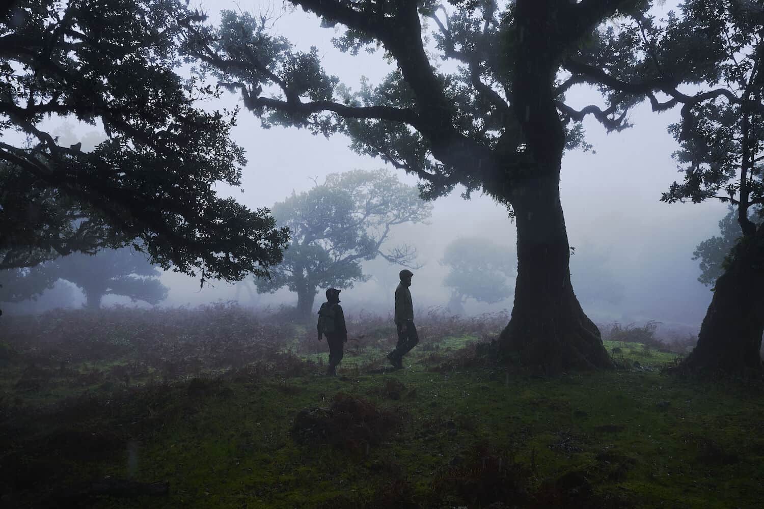 Daniel_Blom_EverydayOutdoor_Madeira