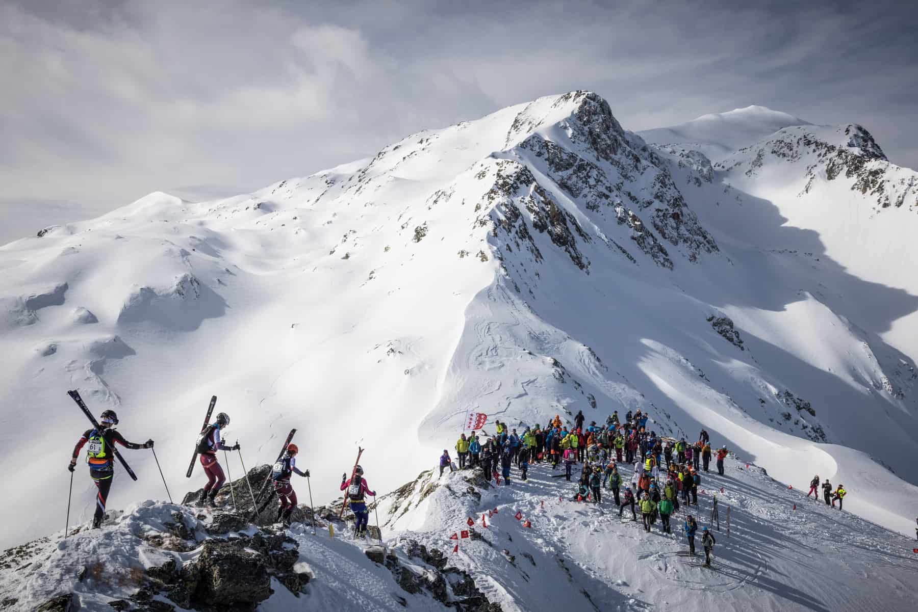 Team SCARPA_PIERRA MENTA