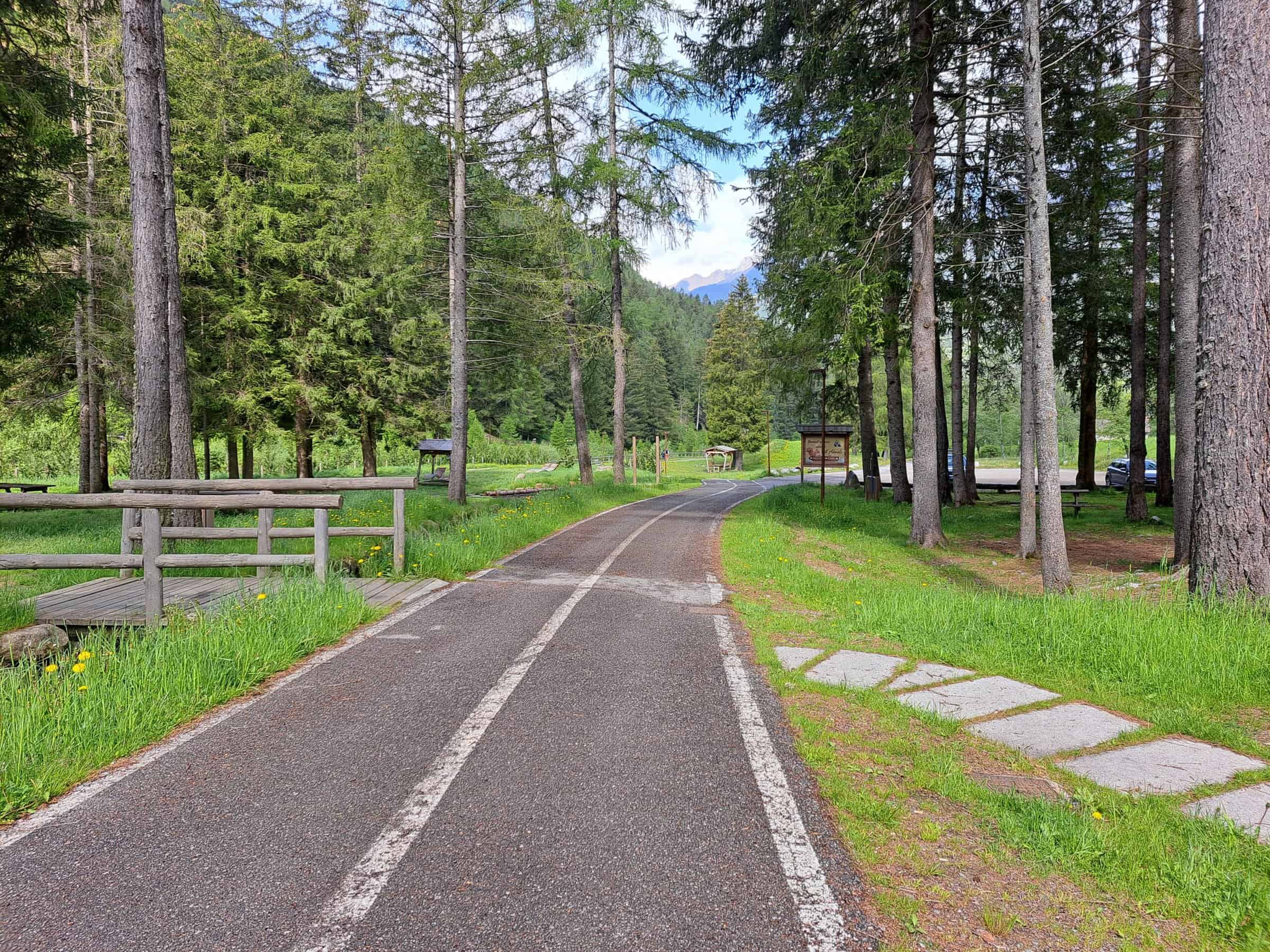 Ciclabile nel bosco