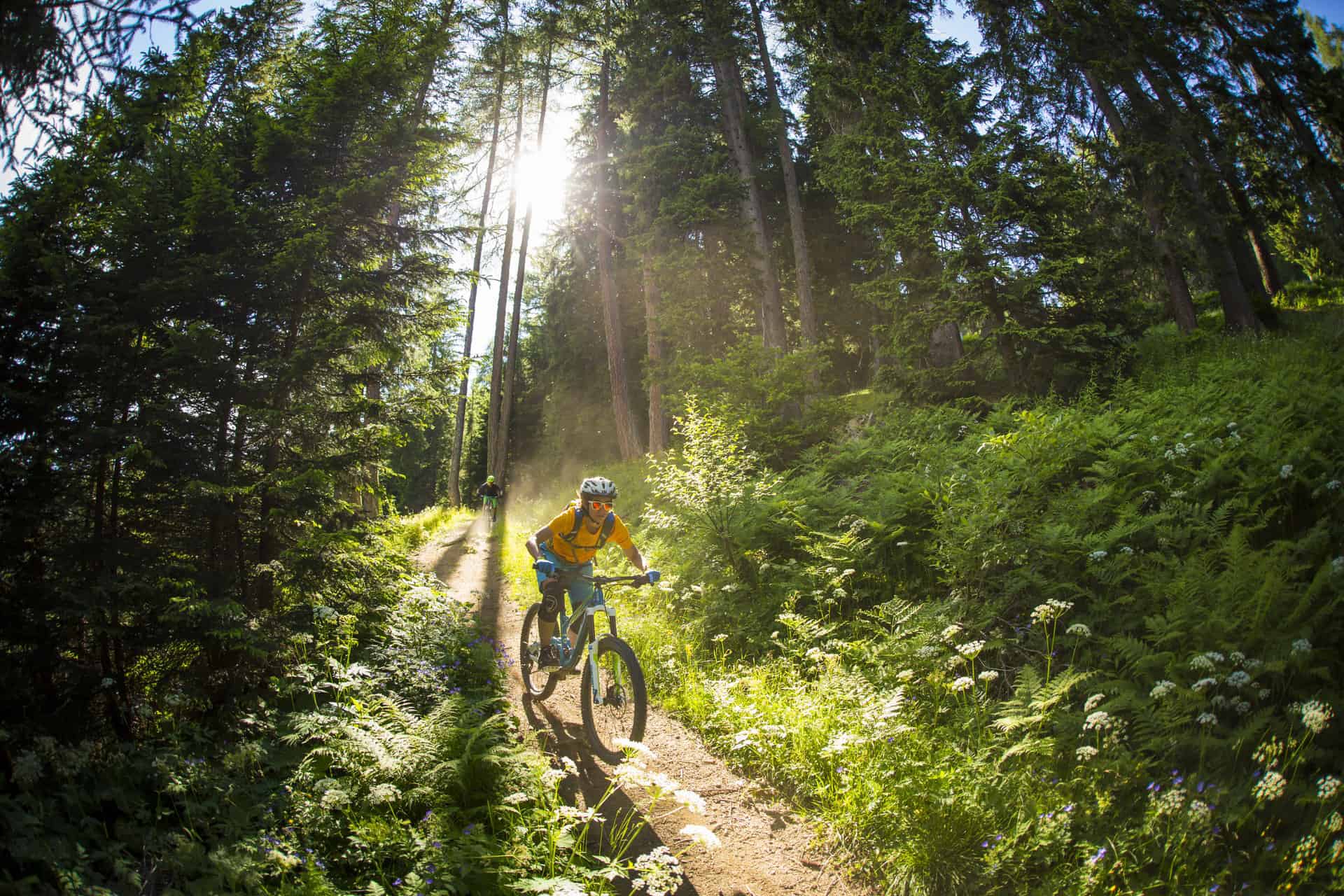 Bike Park val di sole