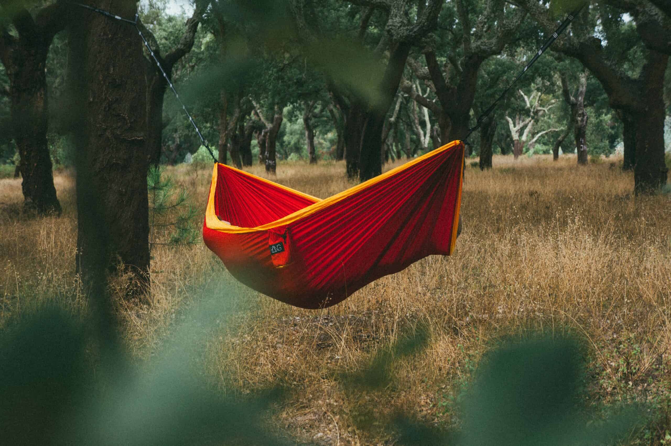 Foto di Tobias Tullius su Unsplash