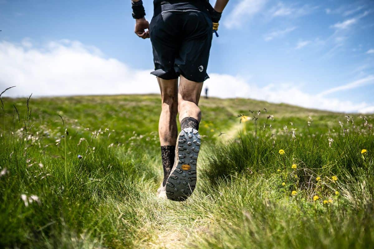 UTMB