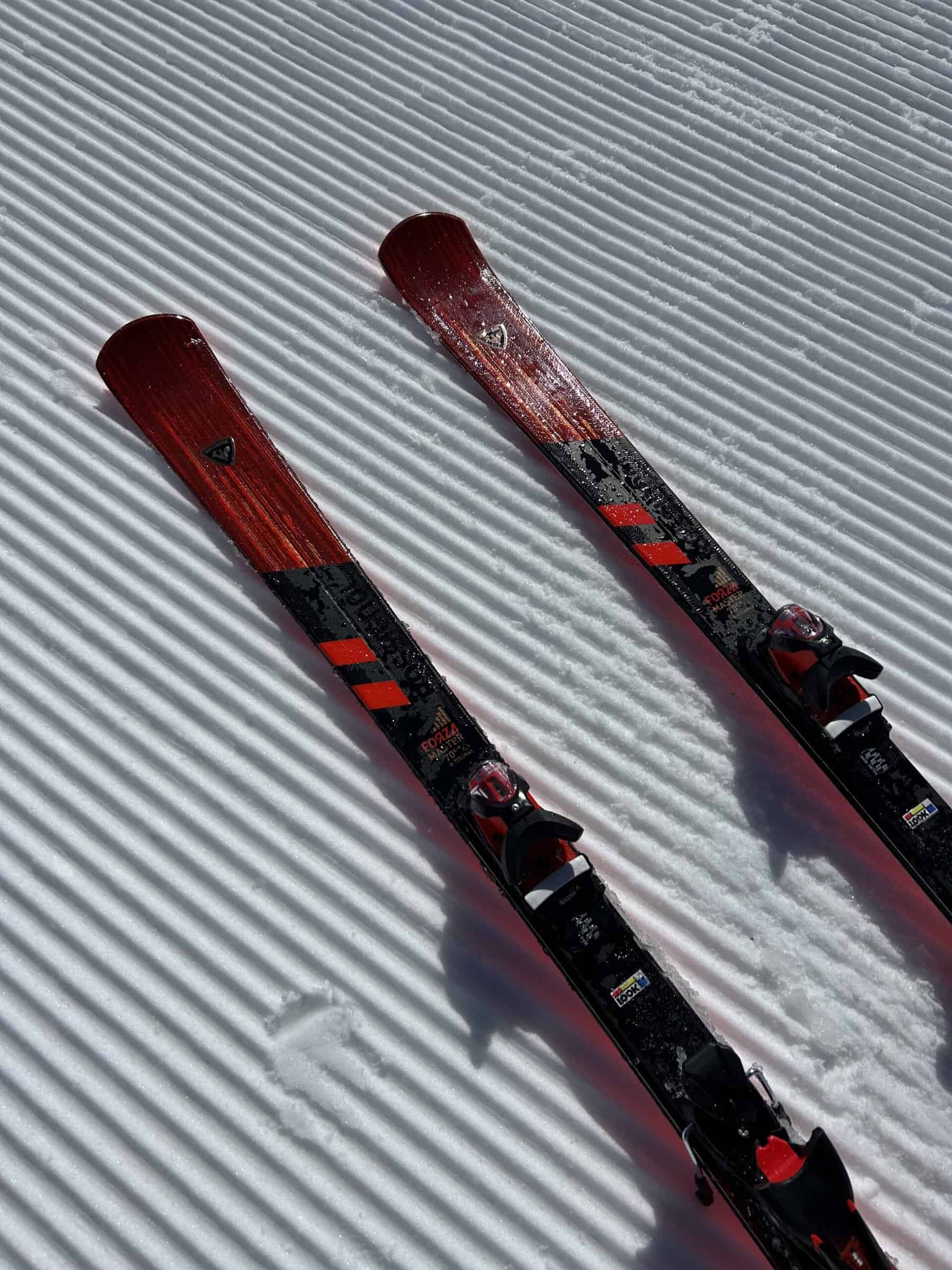 Il Rossignol forza master 70°
