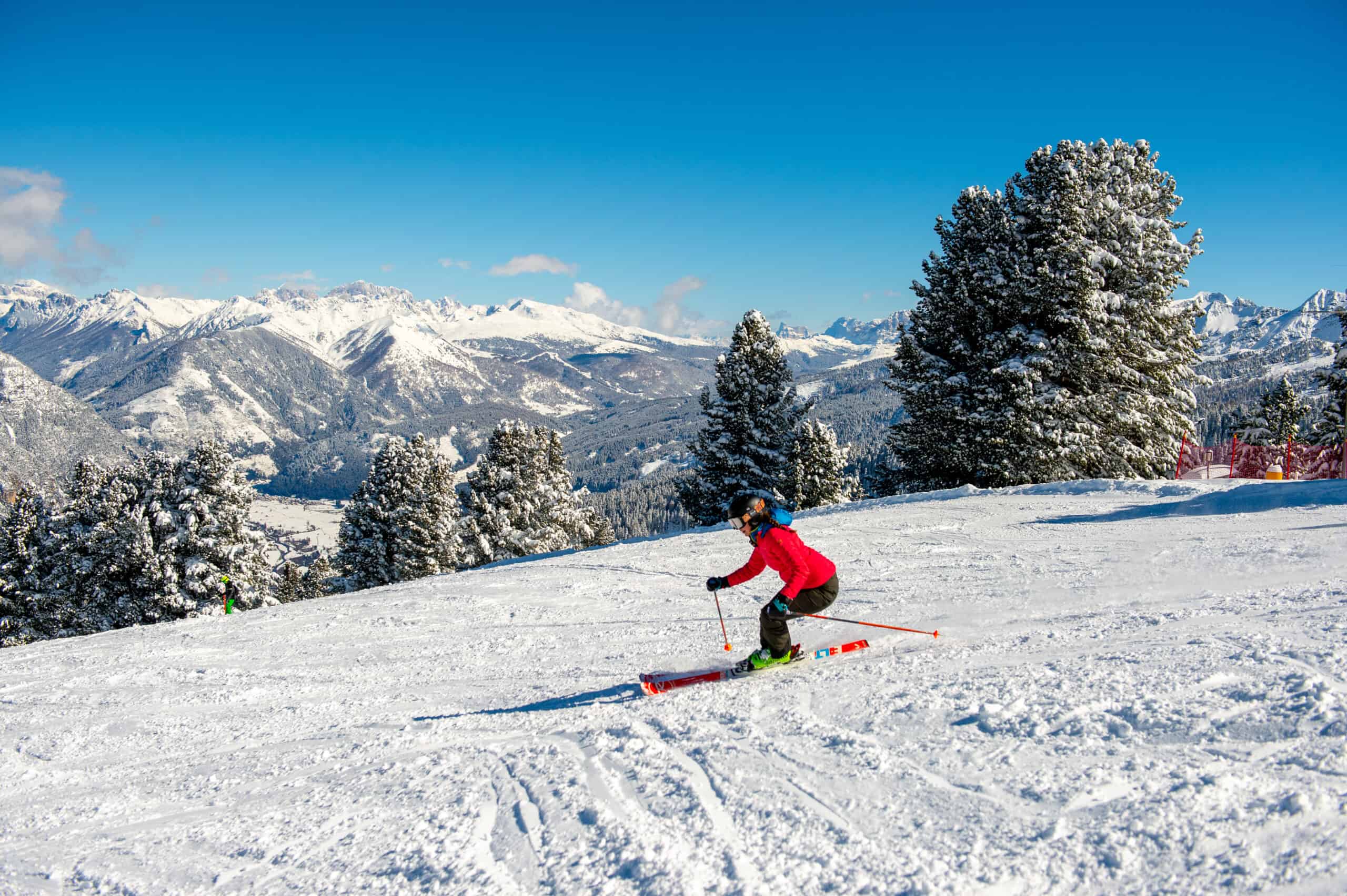 Alpe Cermis_Val di fiemme