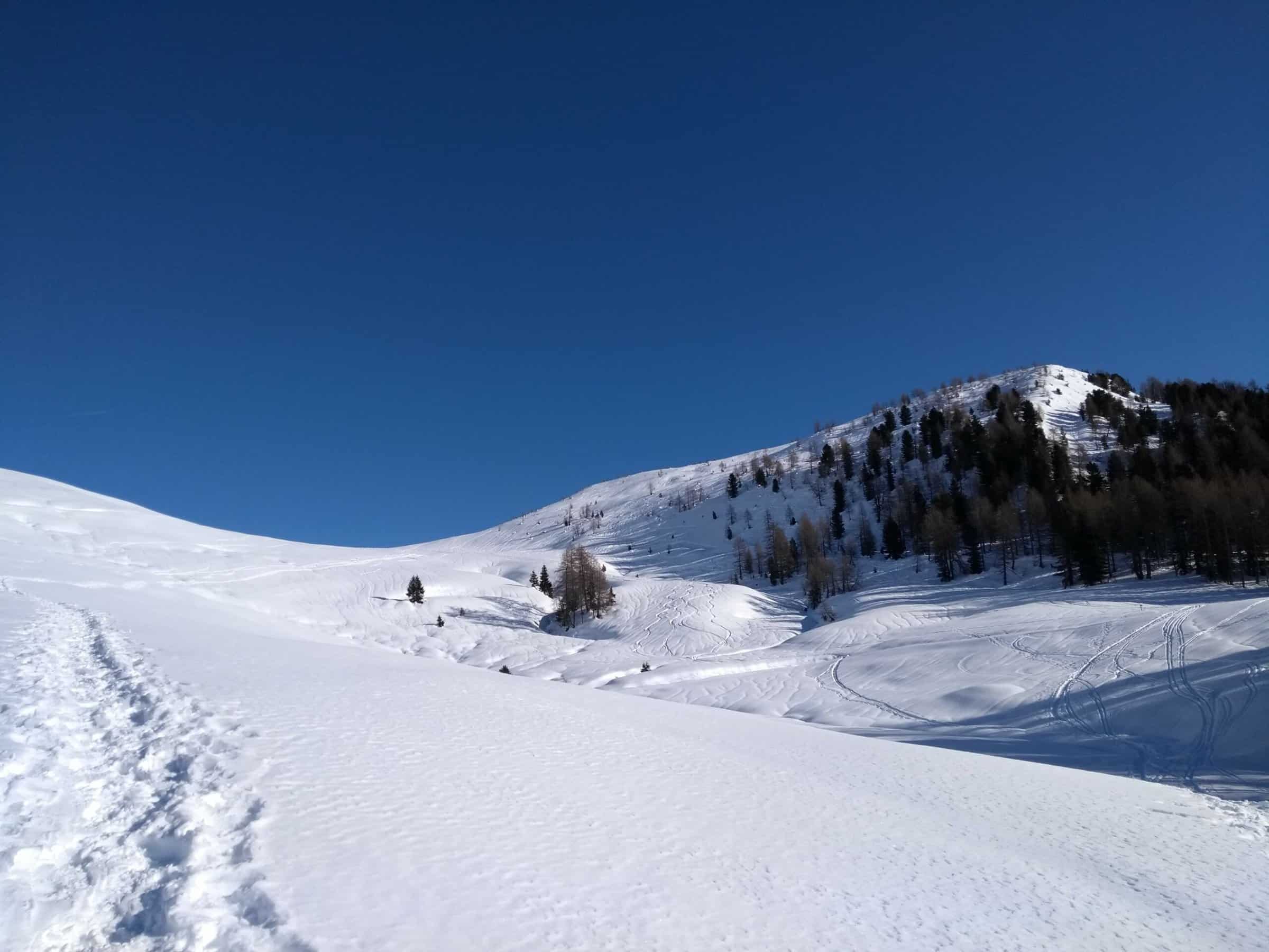 Ciaspole Trentino