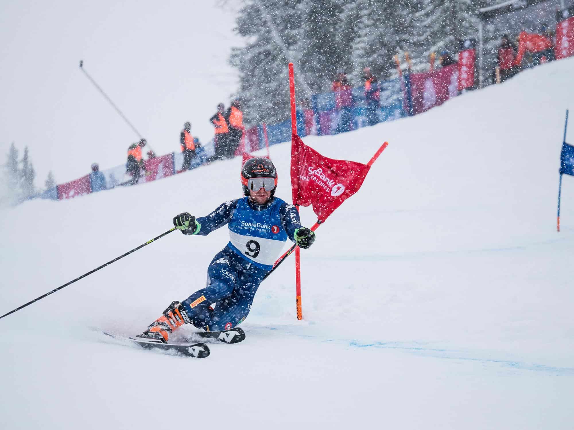 Telemark