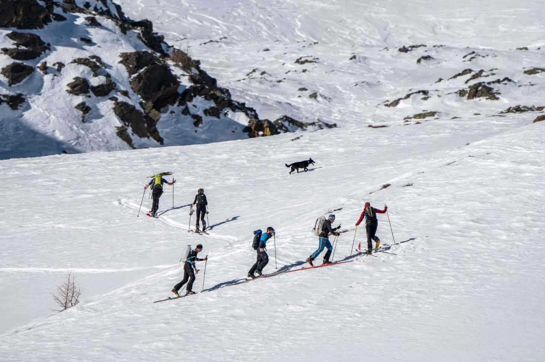 Skimofestival