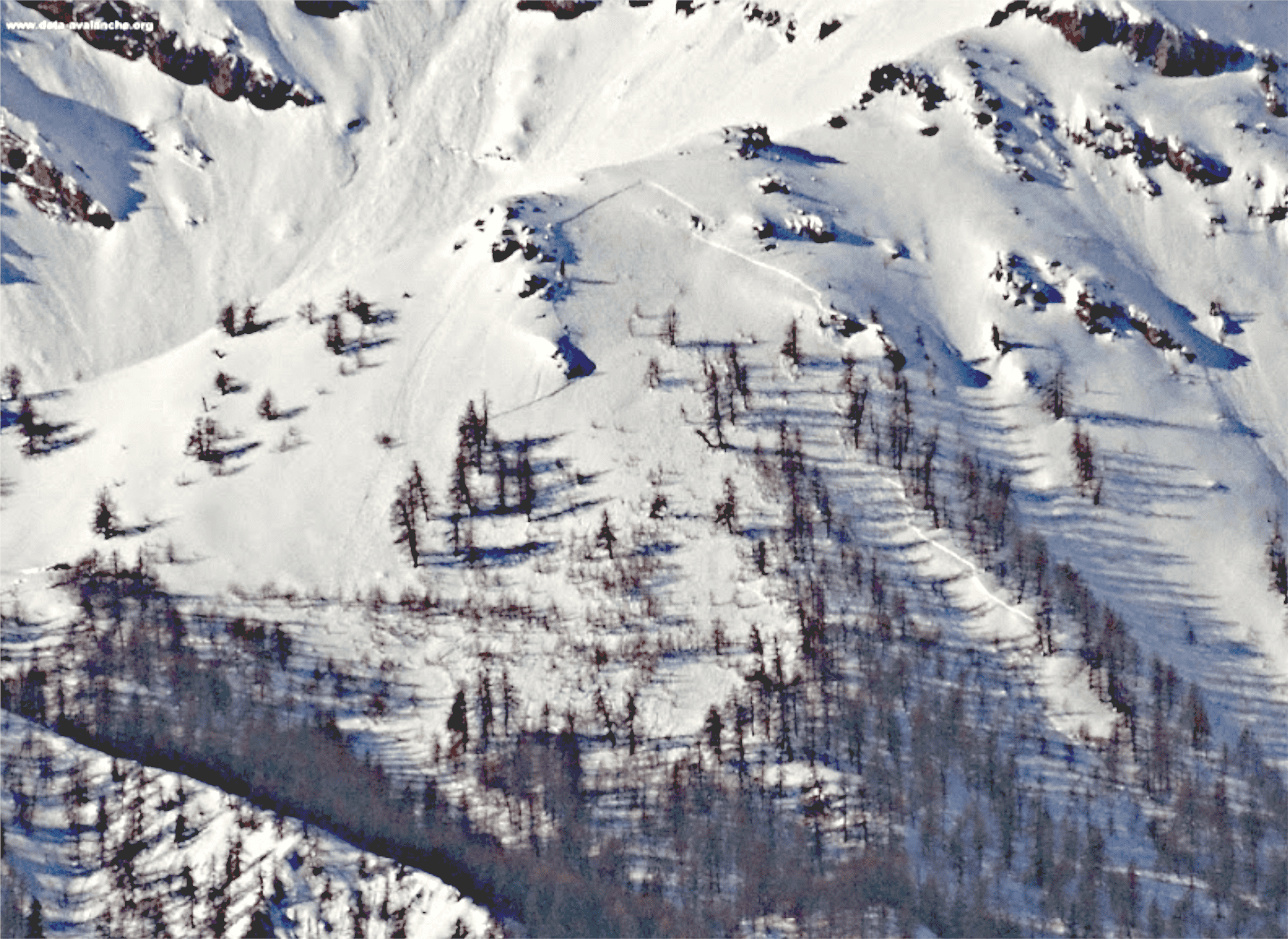 valanghe nel bosco, distacco