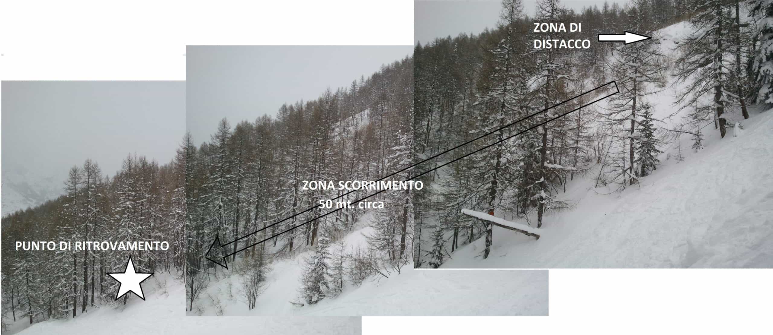 valanghe nel bosco