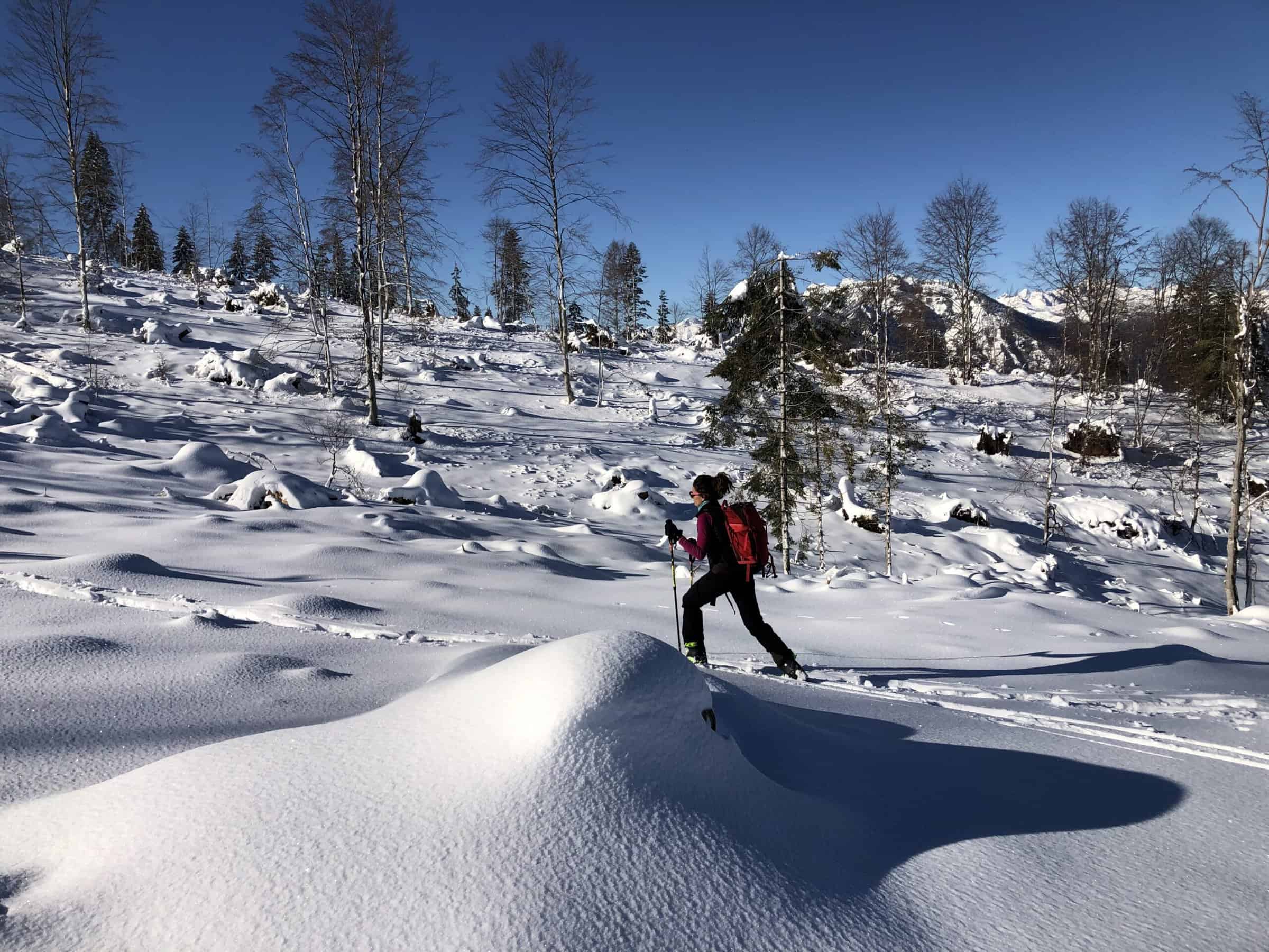 ski-travel