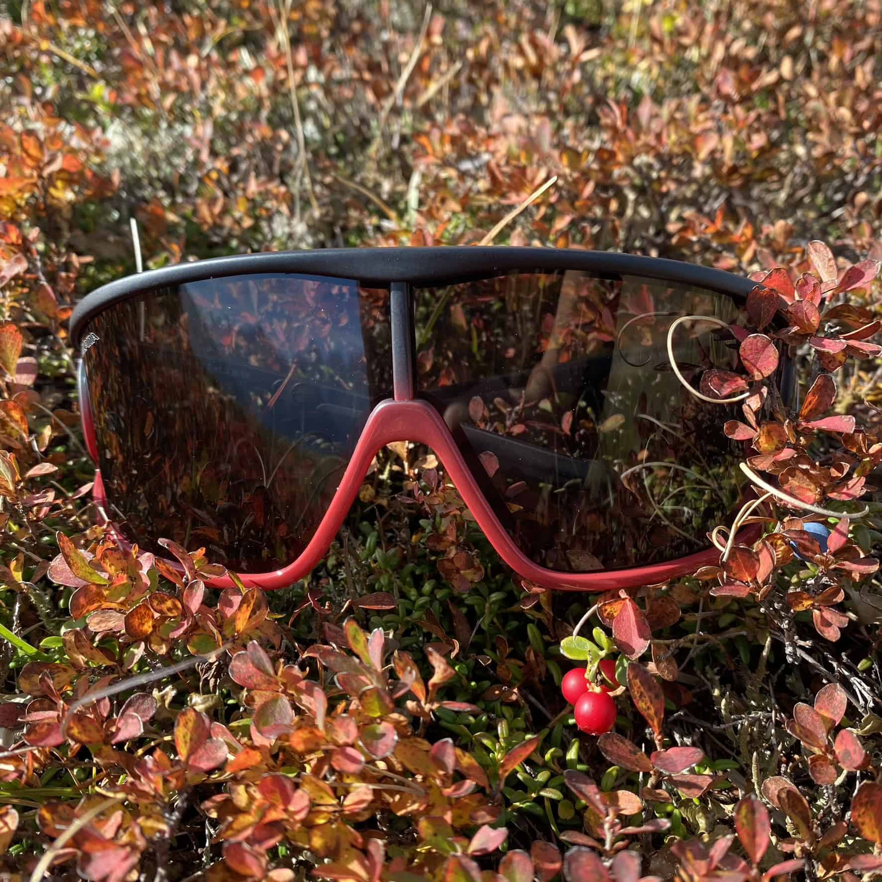 Ampia lente Alpina Legend