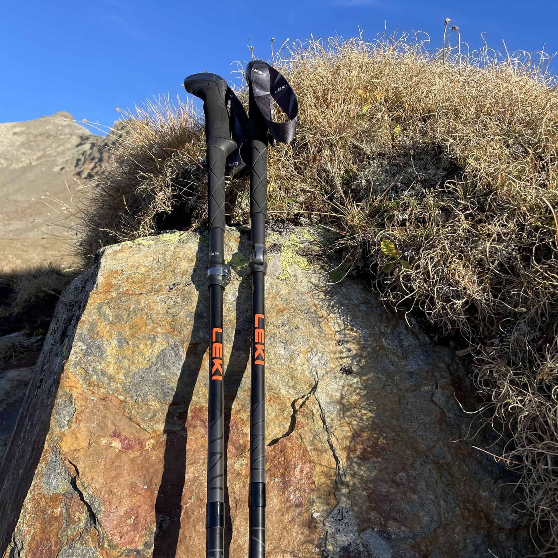 Leki Makalu FX.One Carbon