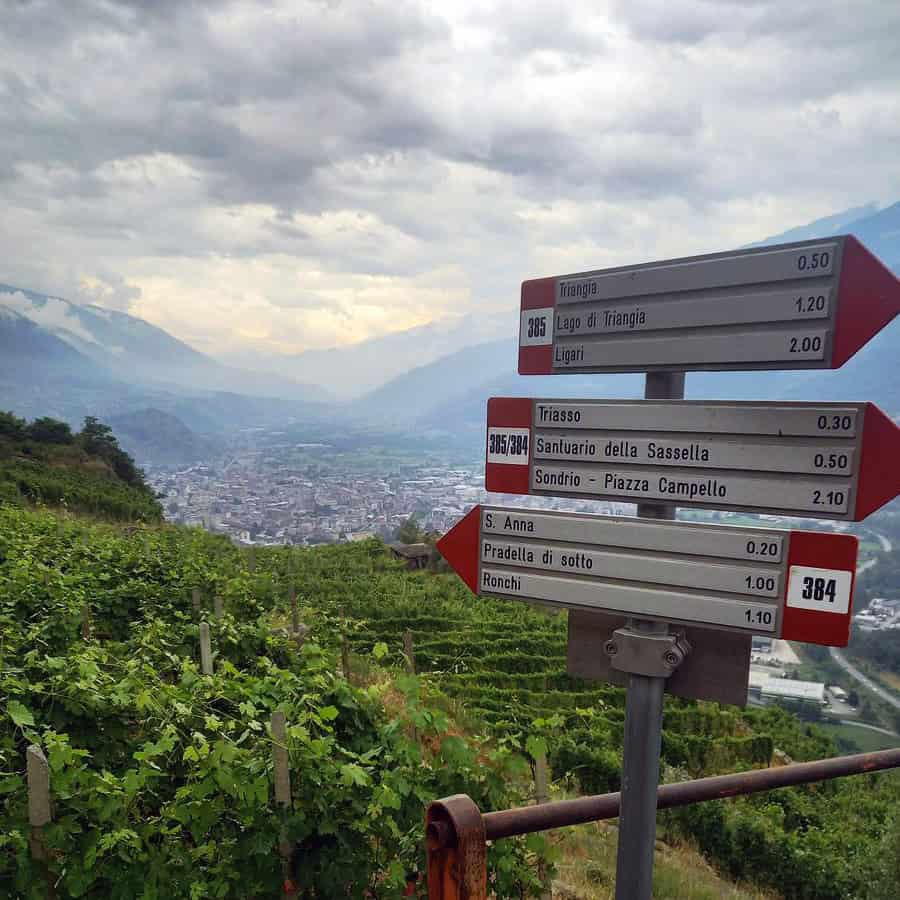 Sentiero con vista tra le vigne del Sassella.
