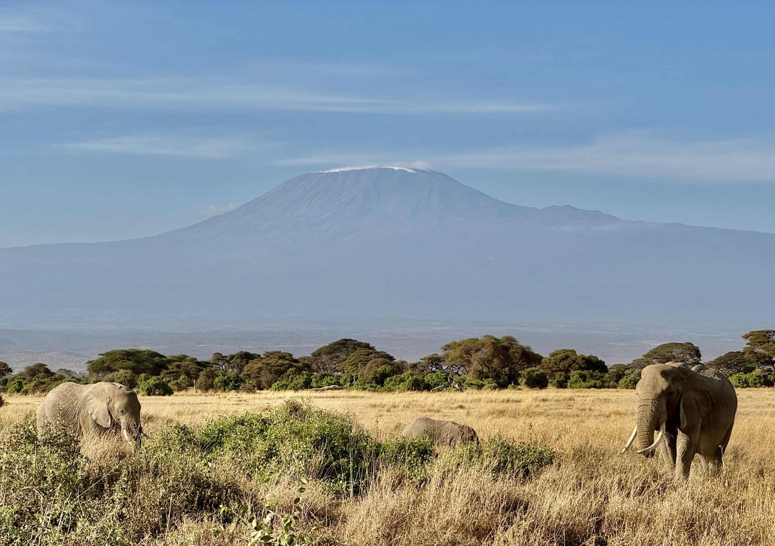 Il Kilimangiaro dal Parco di Amboseli.