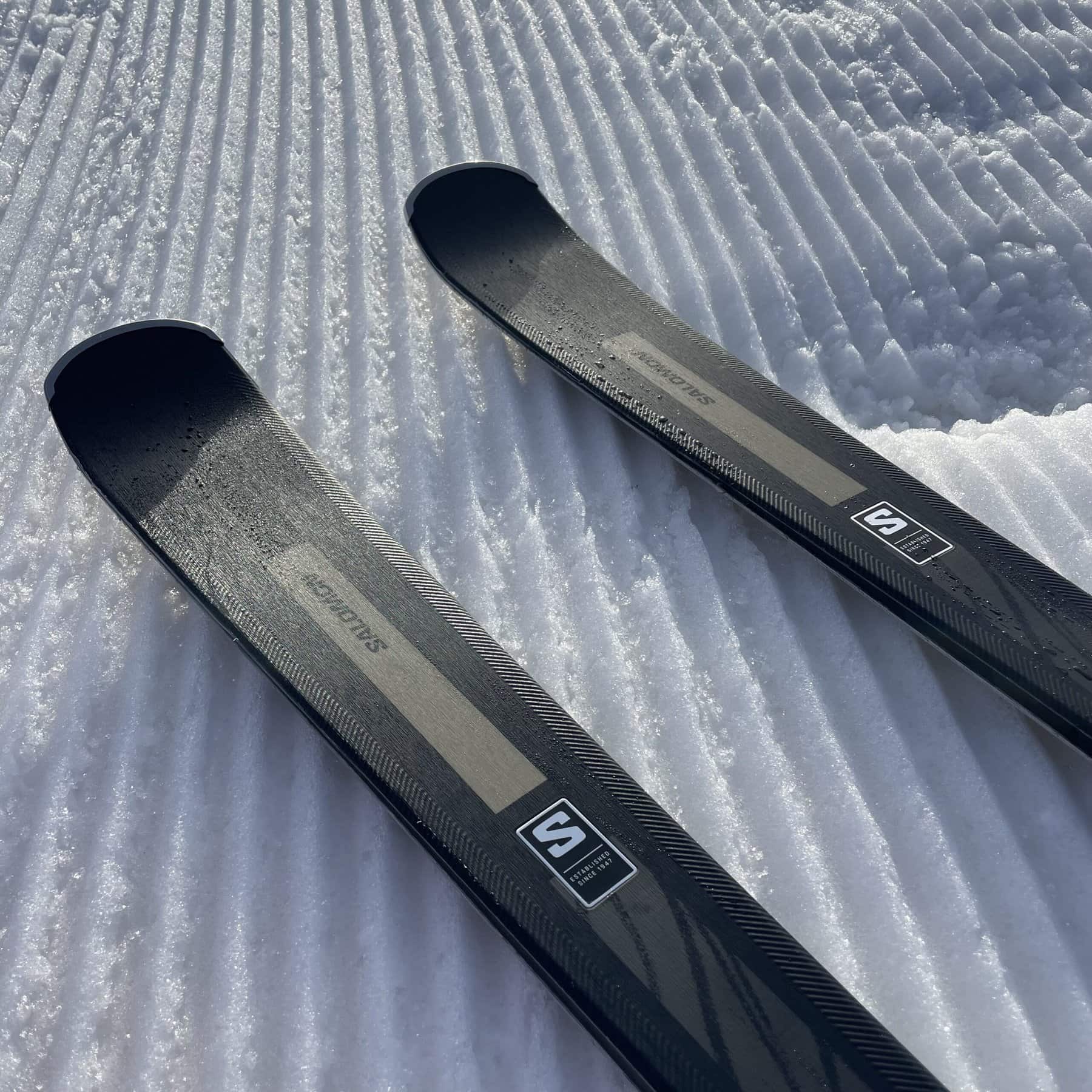 Salomon S/Max N°10