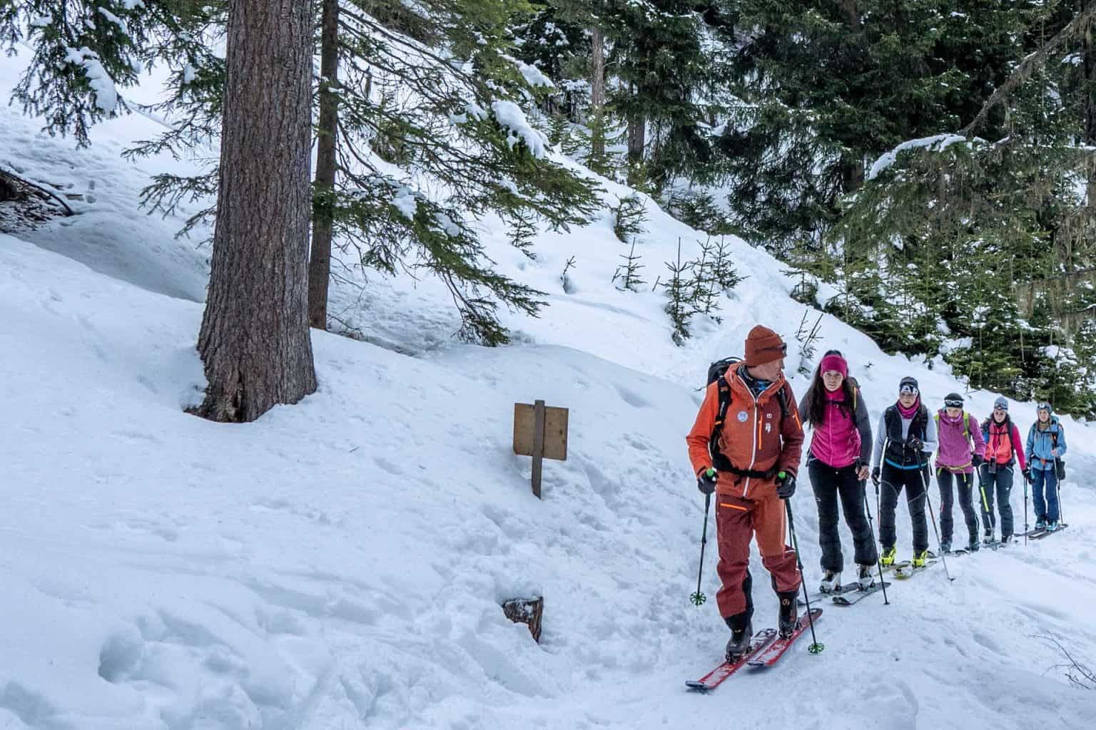 Skimofestival