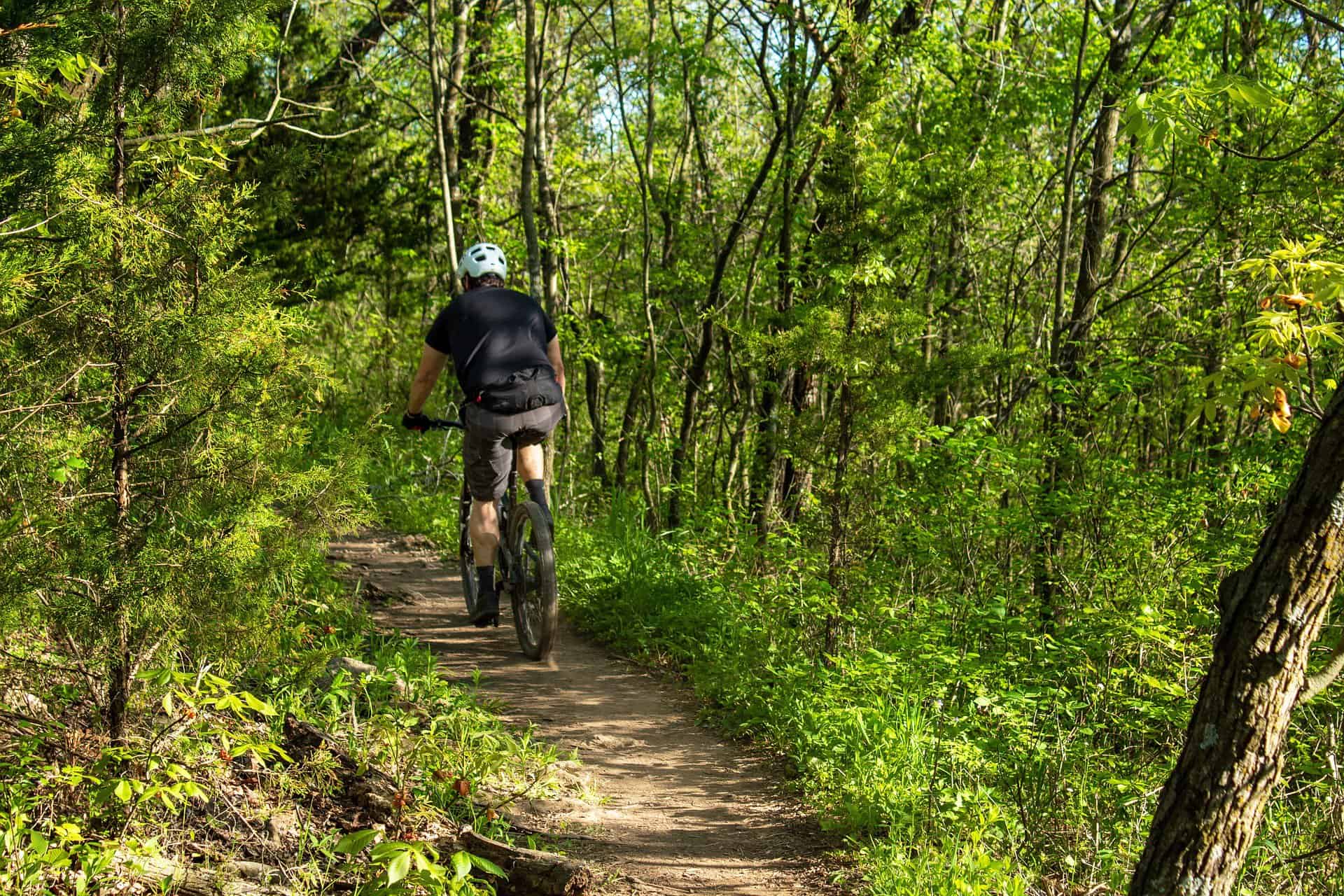 Mountainbiker nel bosco. tubeless o camera d'aria
