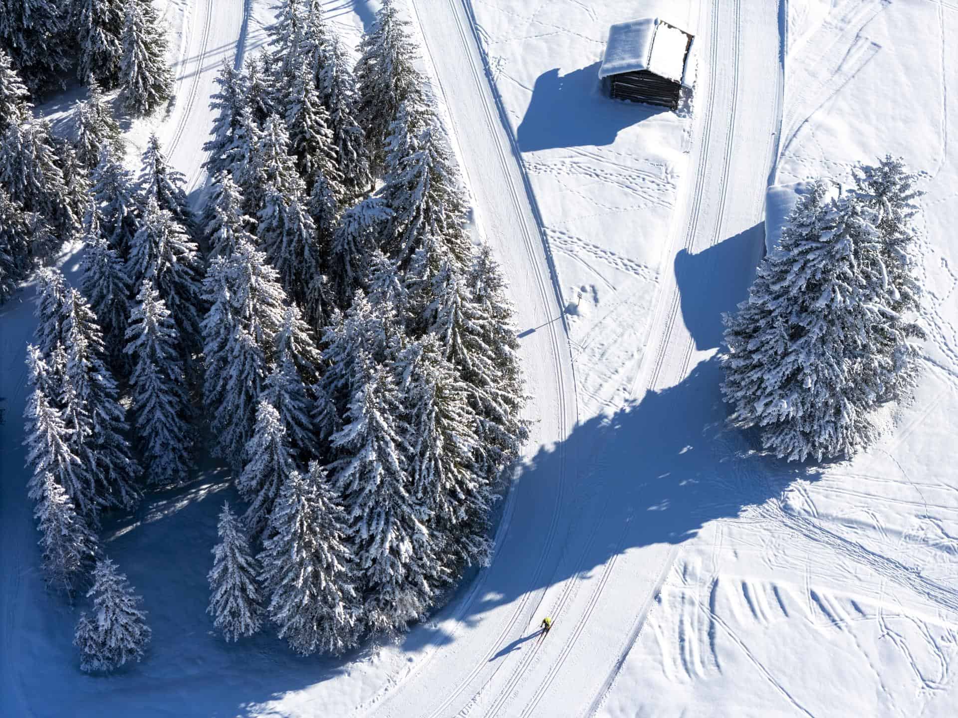 Pista Viola di Valdidentro e la Pista Alute di Bormio