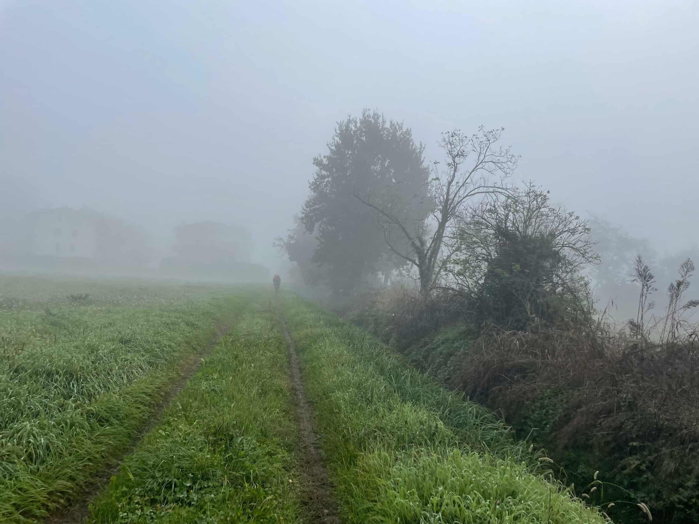 Nebbia in bici