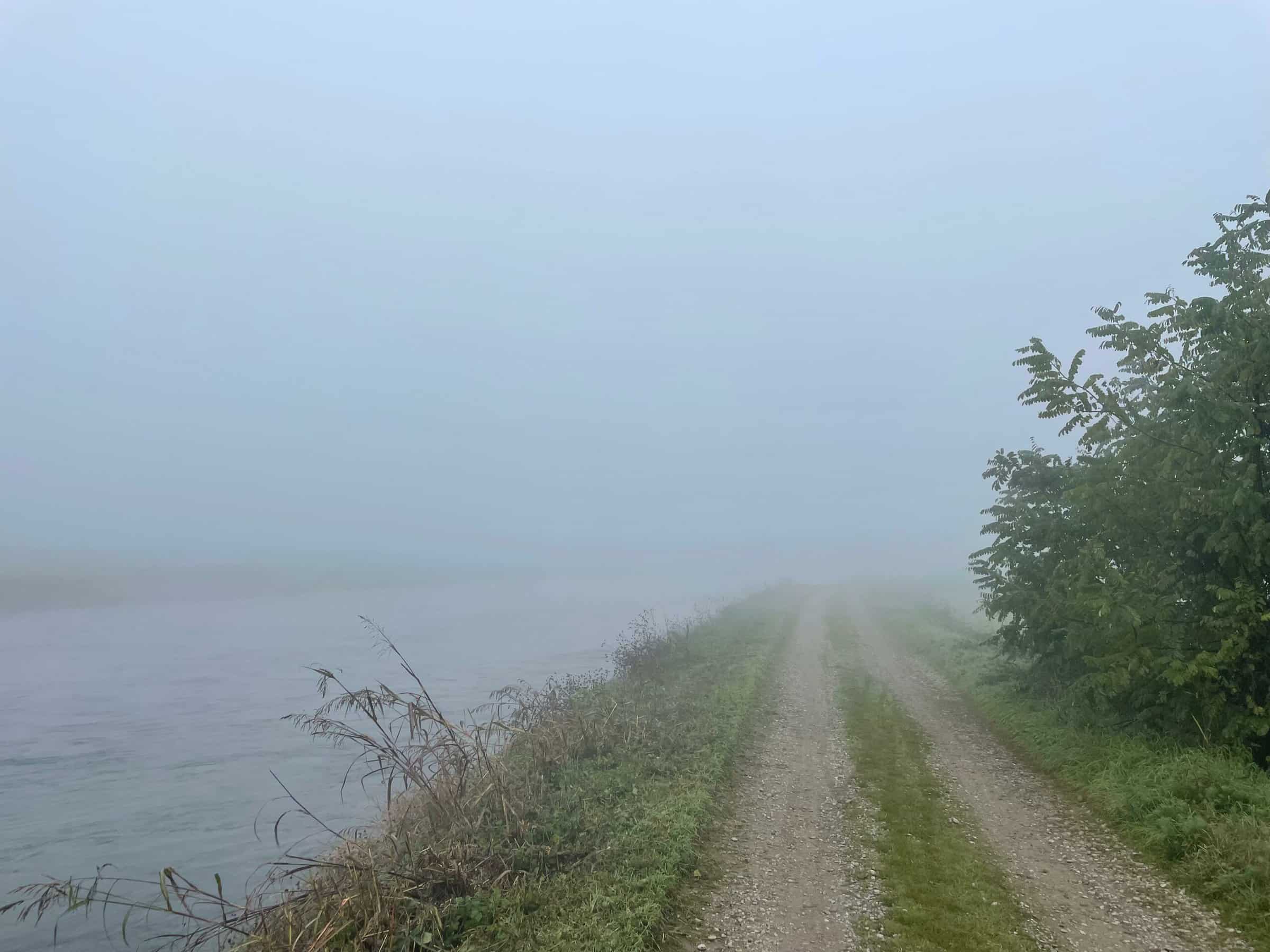 Rendersi visibili nella nebbia