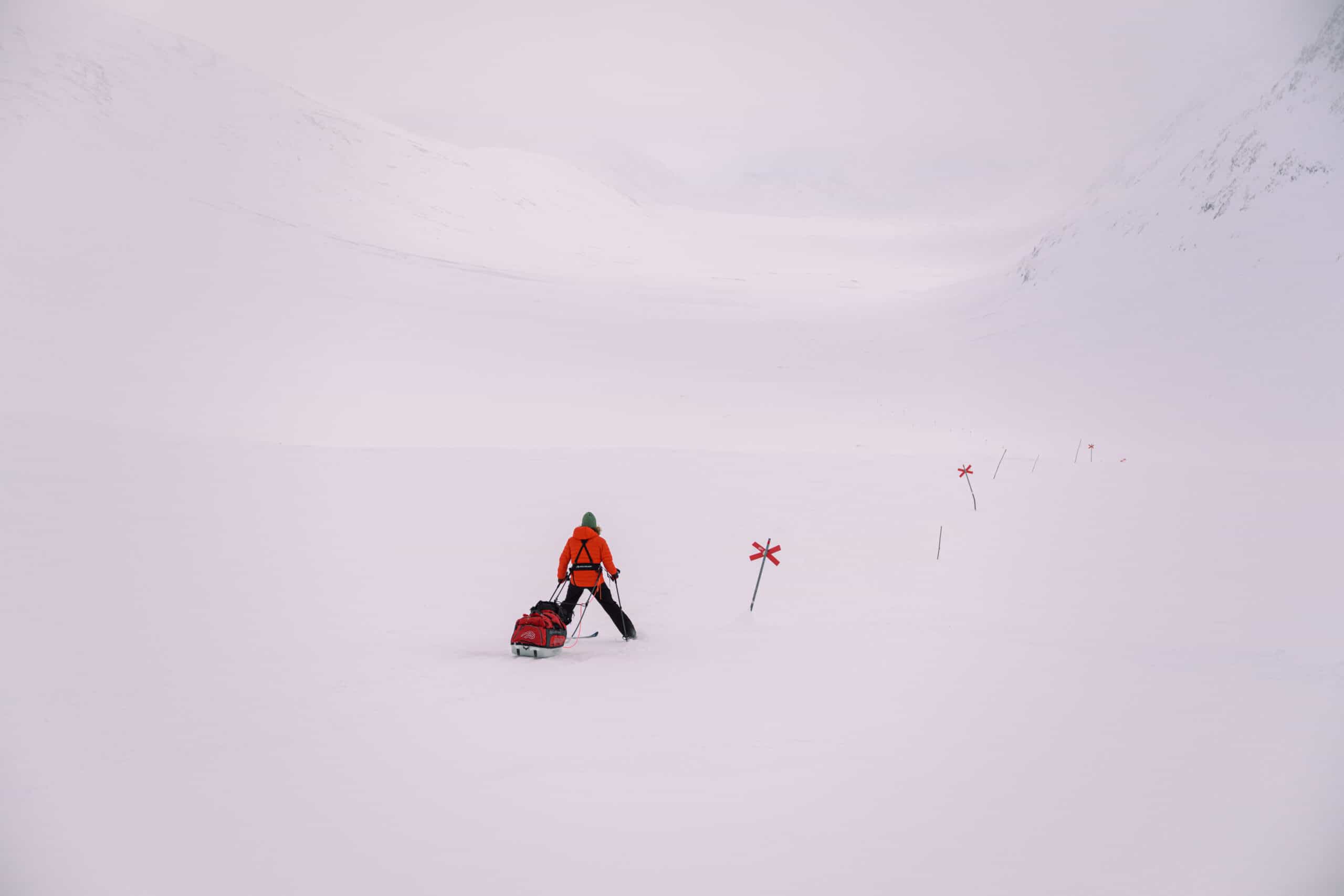 Occhiali da sole Alpina