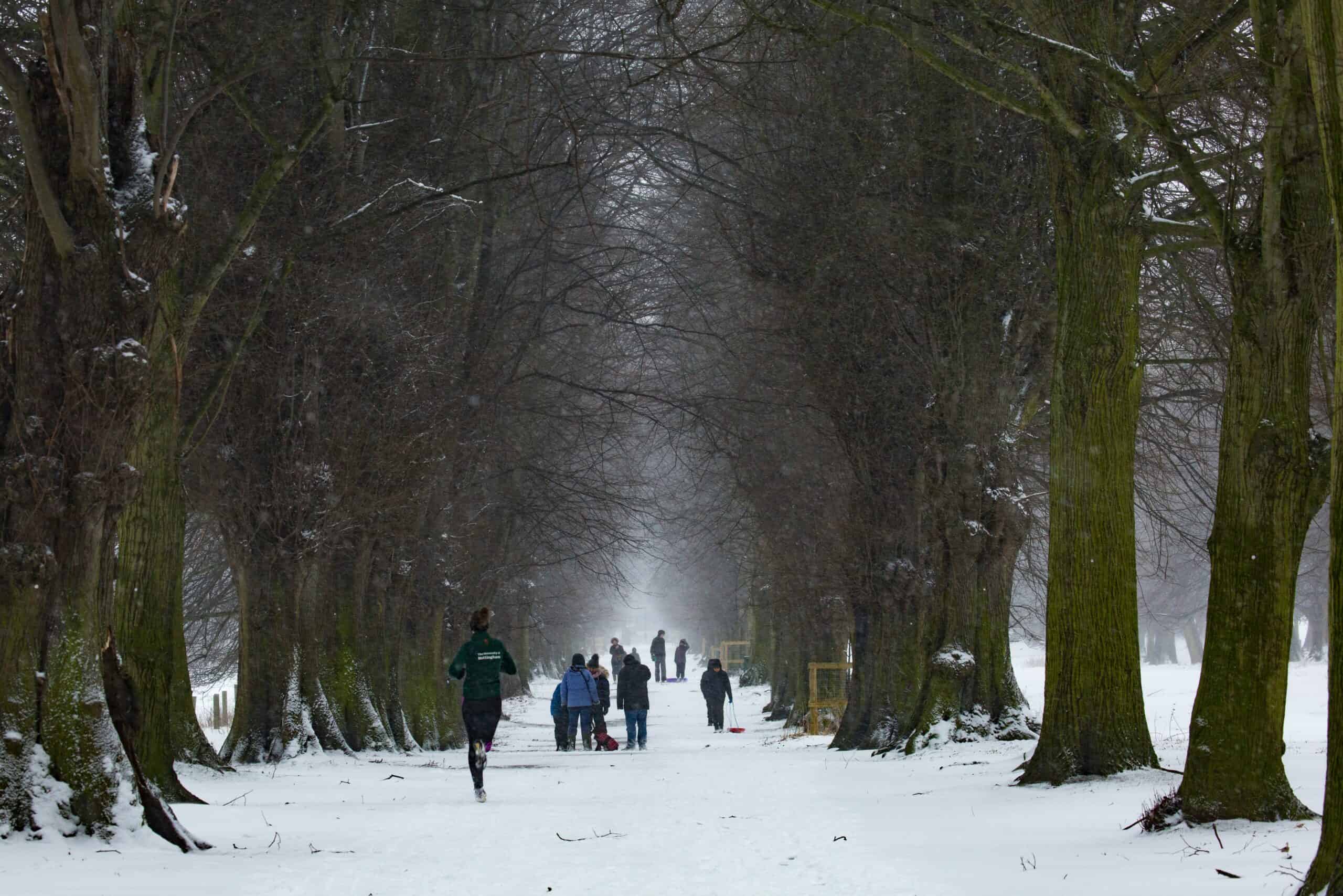 Corsa su neve in città